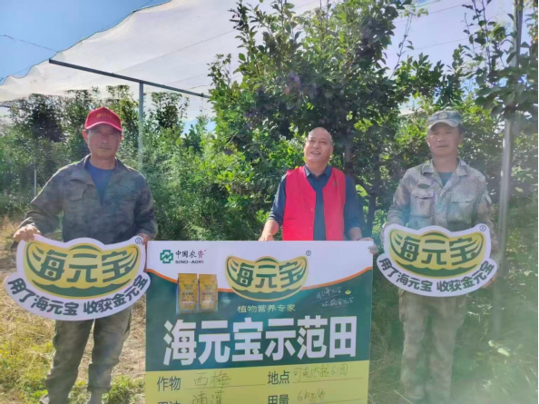 微信圖片03